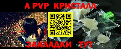 стафф Тара