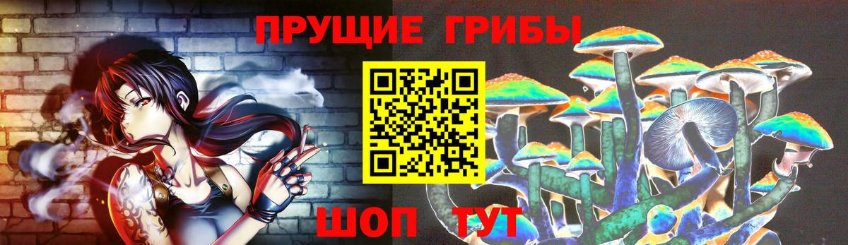 Галлюциногенные грибы GOLDEN TEACHER Муром