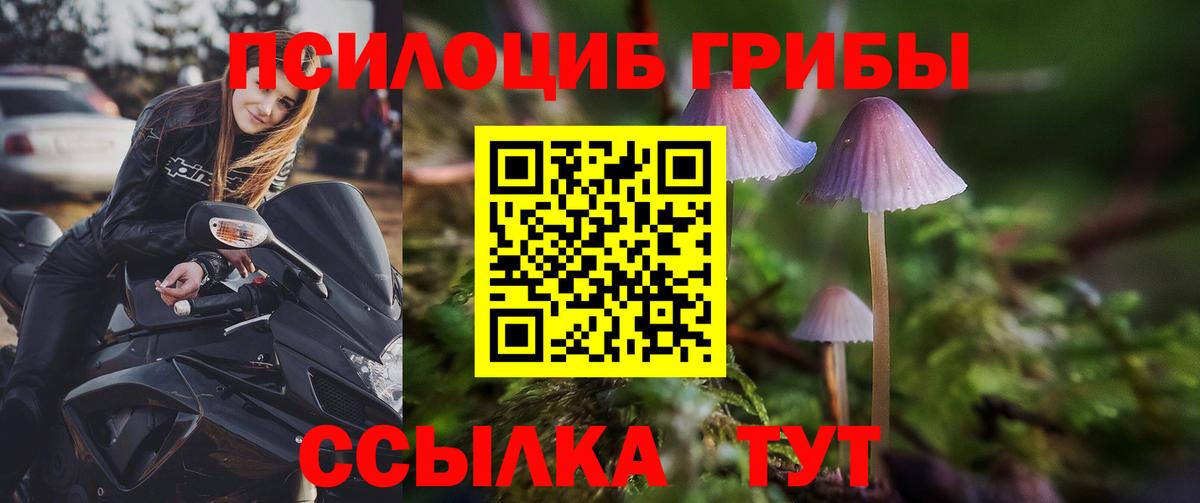 Псилоцибиновые грибы мицелий  Вход с VPN  Муром  Галлюциногенные грибы MAGIC MUSHROOMS 